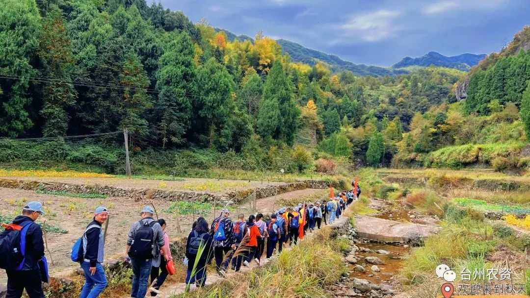 1675664368928324.jpg 640 (35).jpg